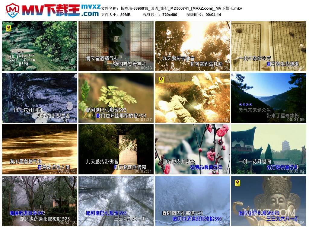 杨曜玮-3396815_国语_流行_MD500741